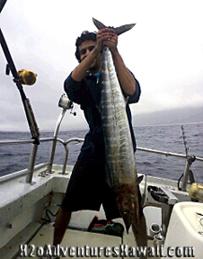 3-24-2013
Keywords: ono,wahoo,hawaii,north shore,charter,boat,fishing,trip,fish,oahu,sportfishing,trolling