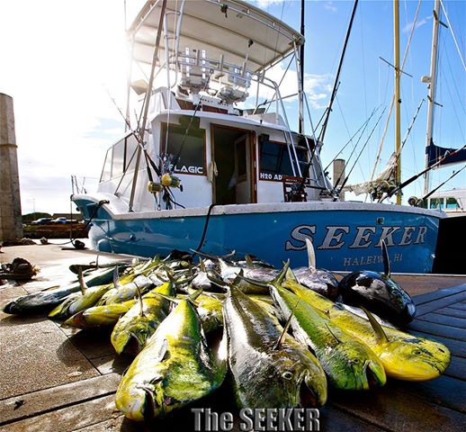 11-24-14
Keywords: mahi tuna ono Seeker fishing hawaii chupu charter boat