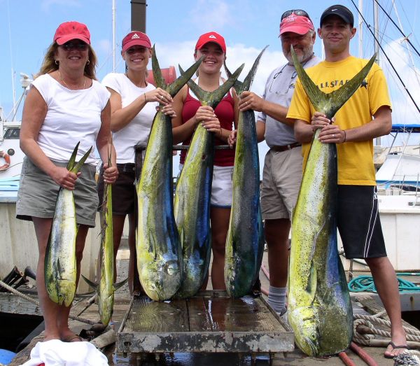 Foxy Lady 9-27-05
The Pocock family is just plain lucky! First thing in the morning a quadruple Mahi Mahi. They got to fight a monster Barracuda, then another 2 Mahi Mahi. All this action and home by 11:30 am. Hopefully they left some of that luck on the boat.
