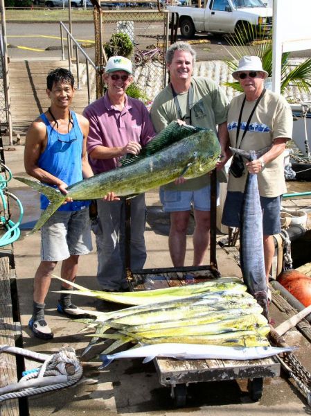 9-4-04
We were on a way to go Gray Snapper fishing and look what we found! A whole bunch of hungry Mahi Mahi ( the big bull weighed 44 pounds ), a nice Ono and a very large Aha Aha (Needle Fish). That's the beauty of fishing- you just never know where you might find 'em! 
