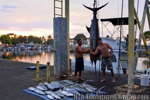 1-3-2013
Keywords: ahi,tuna,yellowfin,mahi mahi,dolphin,fish,charter,fishing,oahu,north shore,hawaii,sportfishing,blue,marlin