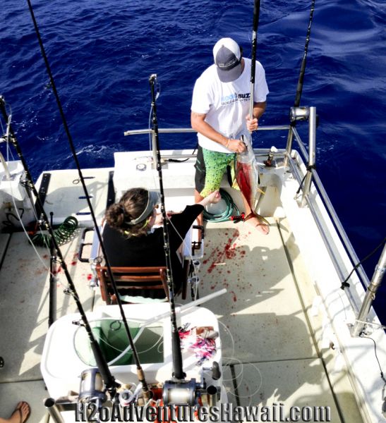 3-10-2013
Keywords: tuna,hawaii,north shore,charter,boat,fishing,trip,fish,oahu,sportfishing,trolling
