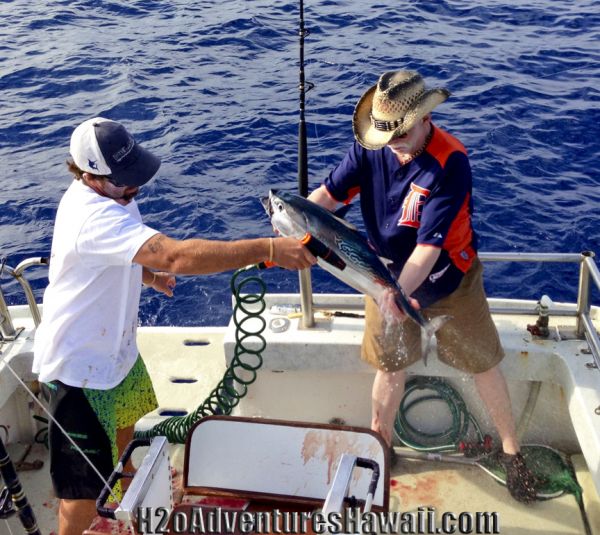 3-10-2013
Keywords: tuna,yellowfin,trolling,hawaii,north shore,charter,boat,fishing,trip,fish,oahu,sportfishing