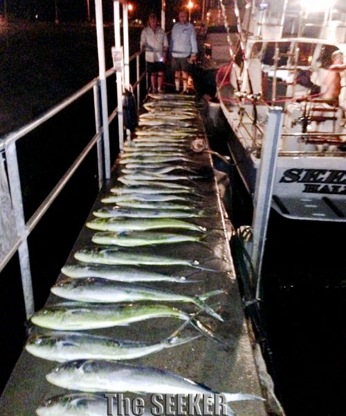 9-19-2013
Keywords: mahi mahi,dorado,dolfin,hawaii,north shore,charter,boat,fishing,trip,fish,oahu,sportfishing,deep sea,trolling