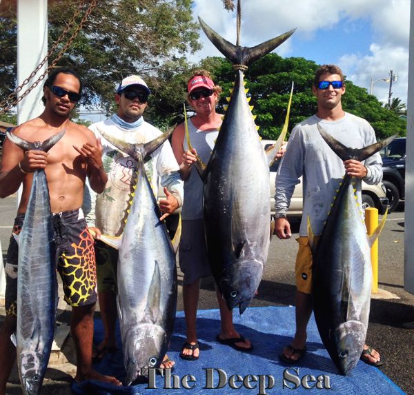 5-25-14
Keywords: Ahi Yellow Fin Tuna Ono Wahoo Sportfishing Charter chupu hawaii