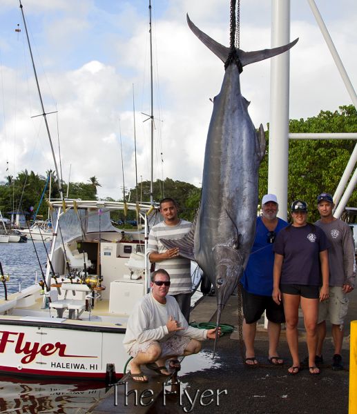 6-30-14
Keywords: blue marlin sportfishing charter fishing hawaii oahu chupu deep see sport fish north shore