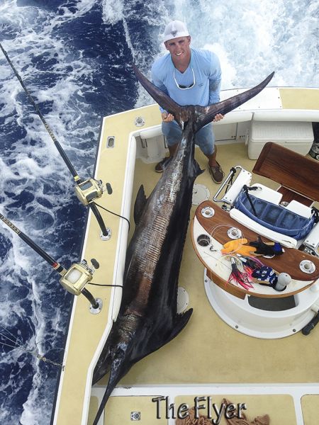 8-11-15
Keywords: Blue Marlin Chupu Fishing Charter Hawaii Seeker