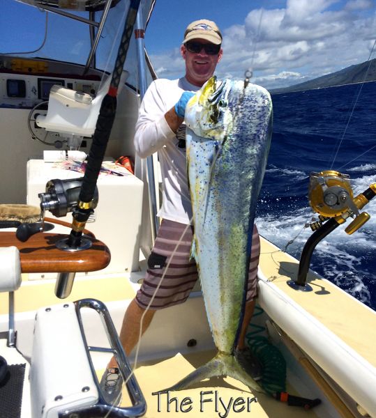 8-22-14
Keywords: blue marlin sportfishing charter fishing hawaii oahu chupu deep see sport fish
