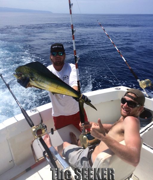 3-17-15
Keywords: Mahi Mahi Dorador Dolphin Tuna Sportfishing Charter fishing chupu Hawaii