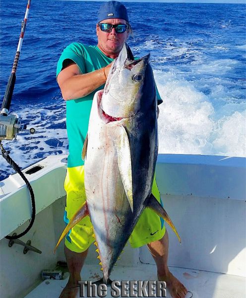 4-10-15
Keywords: Ahi Yellow Fin Tuna Sportfishing Charter chupu fishing hawaii H2o Adventures Hawaii