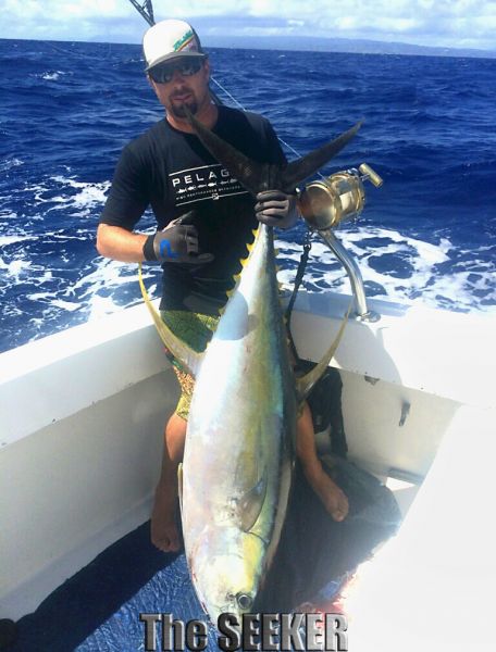 Ahi Yellow Fin Tuna
Keywords: Ahi Yellow Fin Tuna Sportfishing Charter chupu fishing hawaii