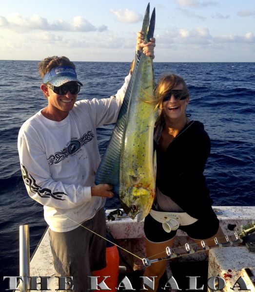 4-24-2013
Keywords: mahi mahi,hawaii,north shore,charter,boat,fishing,trip,fish,oahu,sportfishing