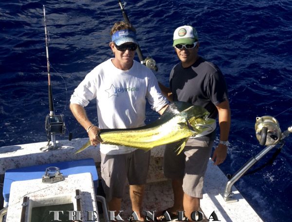 5-8-2013
Keywords: mahi mahi,dorado,dolfin,hawaii,north shore,charter,boat,fishing,trip,fish,oahu,sportfishing,deep sea,trolling