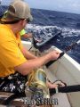 Seeker_2-28-15_Spearfish_chupu_fishing_charter_hawaii_2.jpg