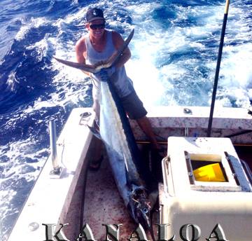 7-1-2013
Score a Marlin for the Kanaloa
Keywords: marlin,mahi mahi,dorado,dolfin,hawaii,north shore,charter,boat,fishing,trip,fish,oahu,sportfishing,deep sea,trolling