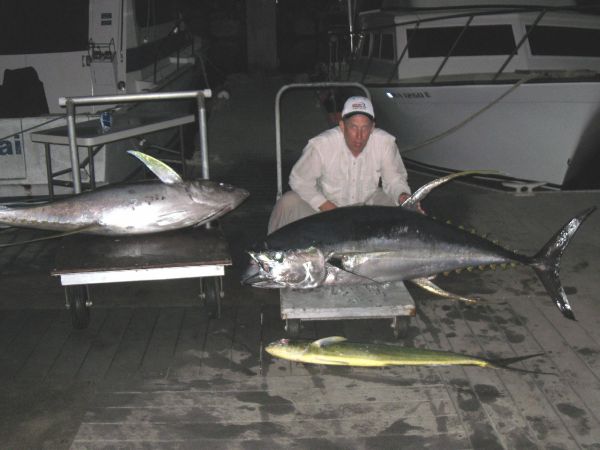 10-7-09
AHI!!! On day two of Dennis' fishing adventure he left the rest of the gang on land and went looking for BIG FISH! Well, he found them. A 20# Mahi Mahi, 160# Ahi and a 210# Ahi made a long day totally worth it!
