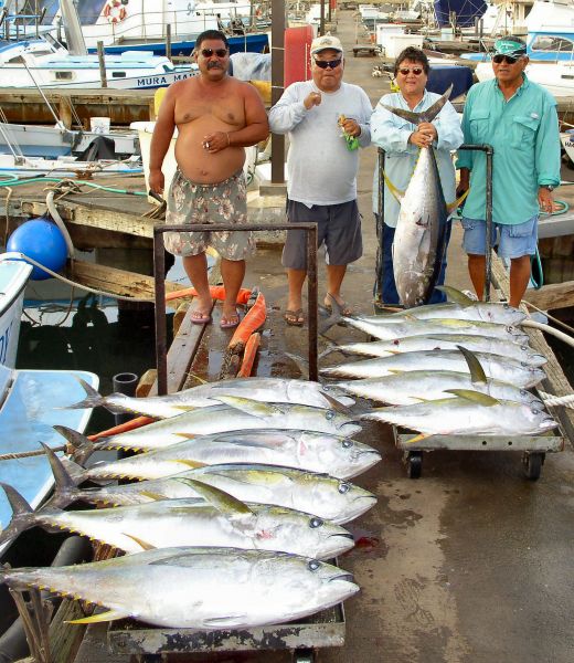 Sure beats Mullet fishin'!
The Haleiwa Harbor Mullet crew and their mighty fine catch! Wayne, Ernest, Sue and Les enjoyed one of the calmest days all year and caught 13 fat Yellowfin Tunas weighing in at over 500 pounds. Nice job gang!

