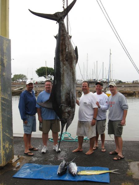 12-24-09
James, Charles, Russell, Frank and Frank  got to pull on a nice Christmas Blue Marlin! Nice job guys.
