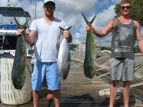 6-27-2012
Maui Tuna
