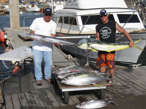 9-27-09
Mike and Chace got some nice Yellowfin Tunas a Mahi Mahi, and Ono and a big Aku. Where's the Marlin???
