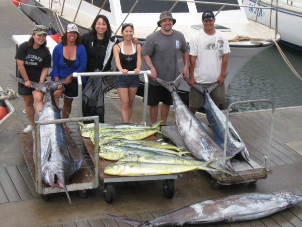 9-6-09
4 Blue Marlin and 12 large Mahi Mahi- not bad for your FIRST TIME FISHING!!! Tysha, Brande, Elizabeth, Lorene, Landon, and Noland are some lucky people! Hope you guys come back again during Ahi season...
