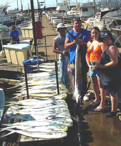  4-25-04
Mandi charterd a boat for her family while they were visiting Hawaii. That's a whole lot of Mahi Mahi and a nice Striped Marlin too! What a day.

