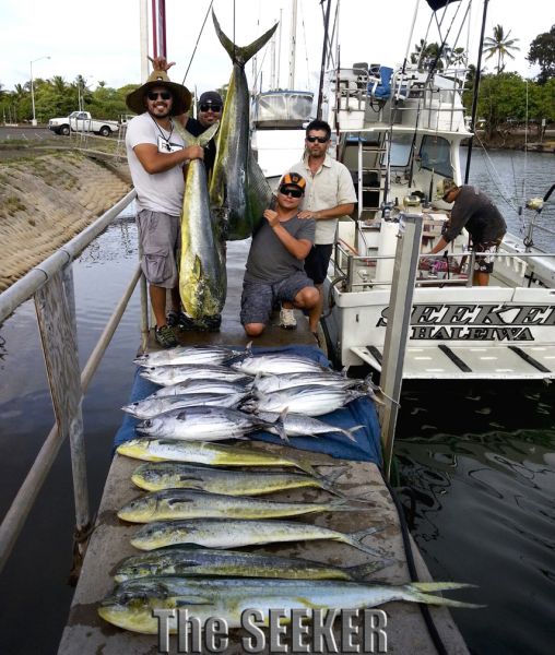 9-24-2013
Keywords: mahi mahi,tuna,dorado,dolfin,hawaii,north shore,charter,boat,fishing,trip,fish,oahu,sportfishing,deep sea,trolling