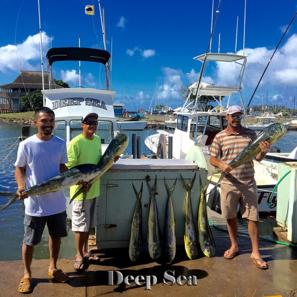 10-2016
Keywords: mahi mahi tuna fishing charter chupu hawaii