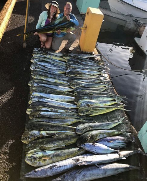 8-15-2019
Keywords: CHUPU SPORT FISHING CHARTER HAWAII FLYER TUNA WAHOO MAHI MAHI DORADO DOLPHIN FISH