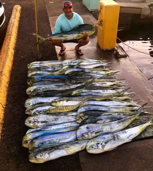 8-30-2019
Keywords: CHUPU SPORT FISHING CHARTER HAWAII FLYER MAHI MAHI DORADO DOLPHIN FISH