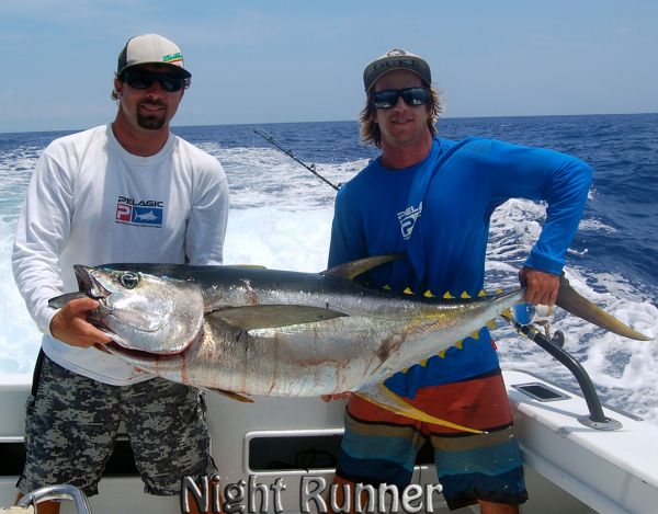 7-31-14
Keywords: Ahi Yellow Fin Tuna Ono Wahoo Mahi Mahi dorado Sportfishing Charter chupu fishing hawaii