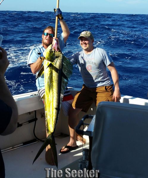 3-23-15
Keywords: Mahi Mahi Dorador Dolphin Tuna Sportfishing Charter fishing chupu Hawaii