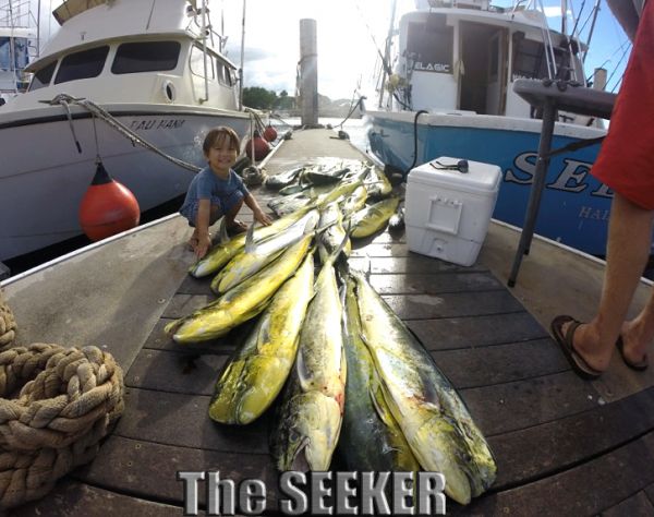 9-19-14
Keywords: Ahi Yellow Fin Tuna Ono Wahoo Mahi Mahi dorado Sportfishing Charter chupu fishing hawaii