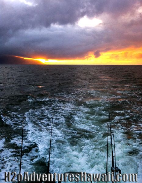 1-28-2013
Keywords: hawaii,north shore,charter,boat,fishing,trip,fish,oahu,sportfishing