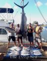 Deep_Sea_10-12-14_Marlin_Tuna_charter_fishing_chupu_hawaii.jpg