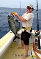 Flyer_1-16-15_Ulua_Chupu_fishing_charters_hawaii.jpg