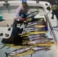 GS_8-22-18_MAHI_MAHI_ONO_WAHOO_TUNA.jpg