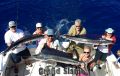 Grand_Slam_2-11-14_2_speafish_Marlin.jpg