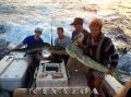 Kanaloa_2-21-14_Mahi_Mahi~0.jpg