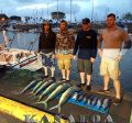 Kanaloa_4-6-14_Mahi_Aku_Shibi~0.jpg