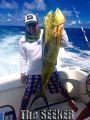 Seeker_10-28-14_Mahi_Mahi_3_fishing_charter_chuu_hawaii.jpg