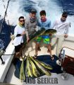 Seeker_3-19-14_Mahi_Mahi_copy.jpg