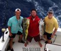 Seeker_3-19-15_Mahi_Tuna_fishing_chupu_charters_hawaii.jpg
