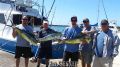 Seeker_3-27-15_Mahi_Mahi_chupu_charters_fishing_hawaii.jpg