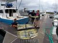 Seeker_3-3-15_Mahi_Mahi_chupu_sport_fishing_charters_hawaii_dock_copy~0.jpg