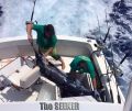 Seeker_4-2-15_Blue_Marlin_Mahi_Mahi_fishing_charter_Chupu_Hawaii_crew.jpg