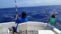 Seeker_4-23-15_Double_Blue_Marlins_rods_Chupu_Sportfishing_H2o_Adventures_Hawaii~0.jpg