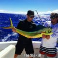 Seeker_5-30-15_Mahi_Mahi_fishing_charter_chupu_hawaii_copy.jpg