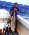 Seeker_6-24-14_Ahi_Kevin_Yellow_Fin_Tuna_copy.jpg