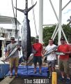 Seeker_8-11-15_Blue_Marlin_Ono_Wahoo_Tuna_Fishing_Charter_Hawaii.jpg